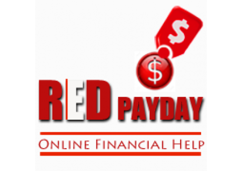 Designer for Payday Loans Company
