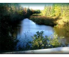 10 Acre Waterfront Hopefield Cottage Lot